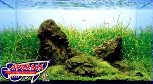 ADA Aqua Soil Powder Amazonia -  . 