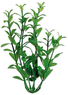 Tetra Hygrophila 30 см (Гигрофила) искусственные растения для аквариума.